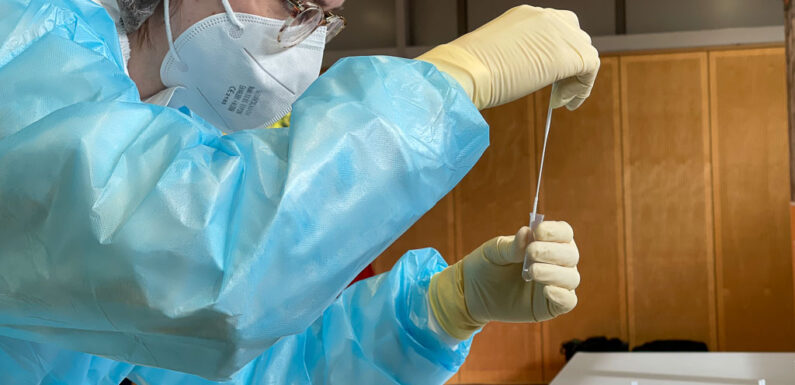 DRK-Testzentren in Schaumburg: Orte und Öffnungszeiten