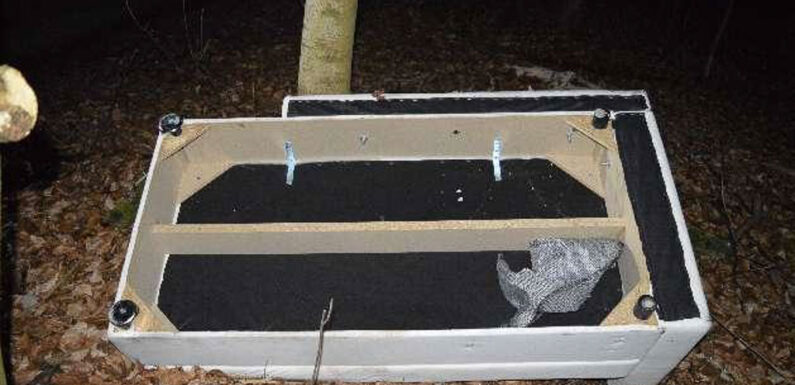 Möbel im Harrl entsorgt