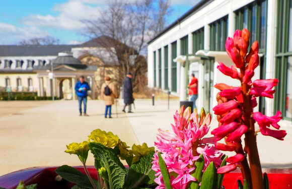 Erweitertes Test-Angebot in Bad Nenndorf: Wandelhalle ist DRK Impf- und Corona-Testzentrum