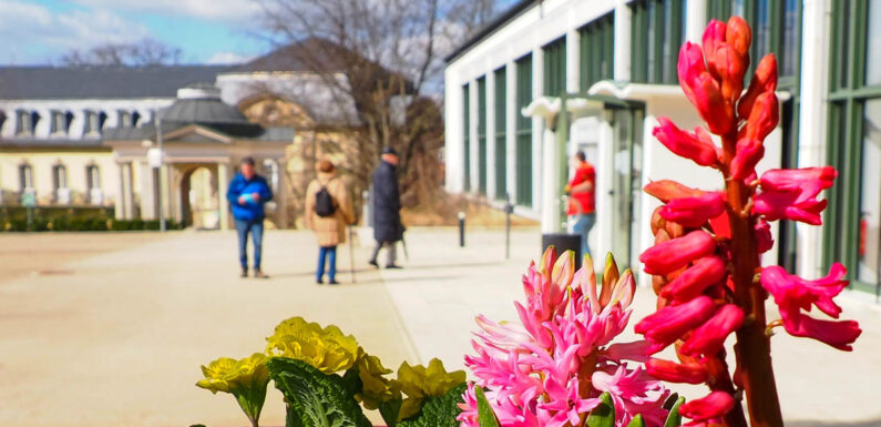 Erweitertes Test-Angebot in Bad Nenndorf: Wandelhalle ist DRK Impf- und Corona-Testzentrum