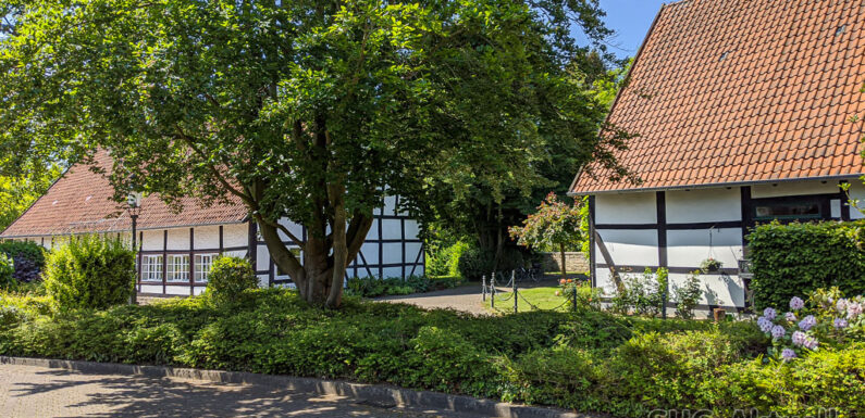 Bücherflohmarkt der Stadtbücherei Bückeburg