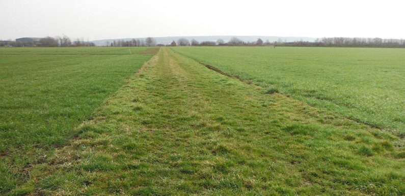 Probebetrieb startet: Konzept zur naturnahen Pflege der Wegeränder