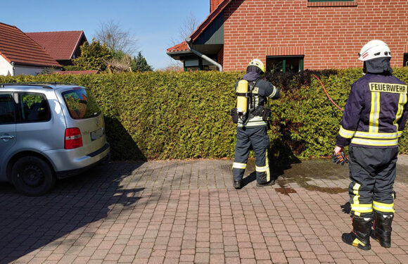 Heckenbrand in Hagenburg