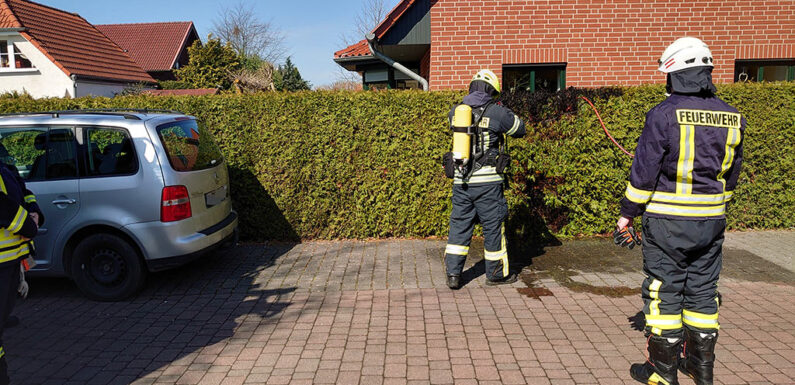 Heckenbrand in Hagenburg