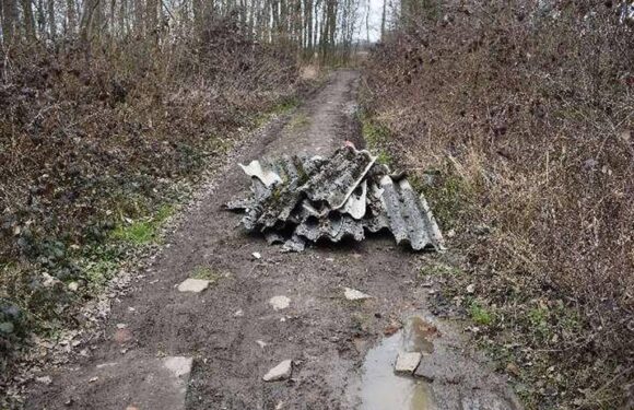Asbesthaltige Platten illegal in Röcke abgeladen