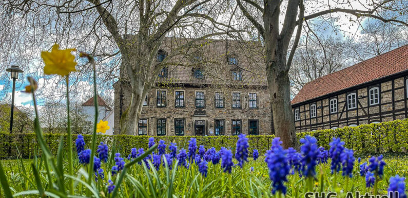Lesefuchs-Club lädt zum Bilderbuchkino in der Stadtbücherei Stadthagen ein