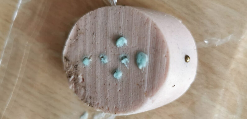 Giftköder in Lauenhagen gefunden: Schädlingsmittel und Metallteile stecken in Fleischwurst