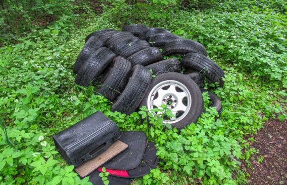 Auhagen: Altreifen im Waldgebiet entsorgt