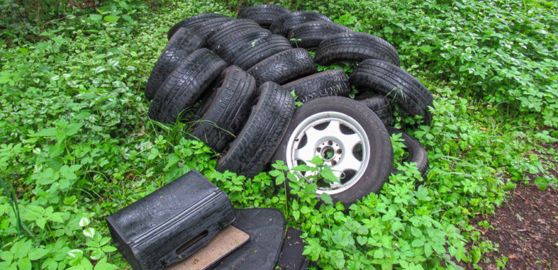 Auhagen: Altreifen im Waldgebiet entsorgt