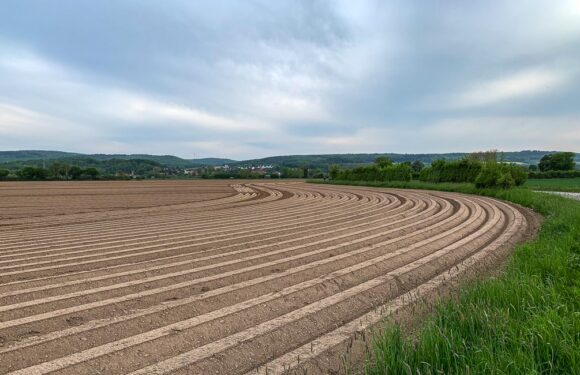 Landkreis erlässt Allgemeinverfügung: Testpflicht für Erntehelfer in Sammelunterkünften