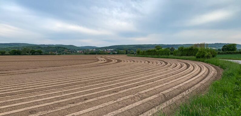 Landkreis erlässt Allgemeinverfügung: Testpflicht für Erntehelfer in Sammelunterkünften