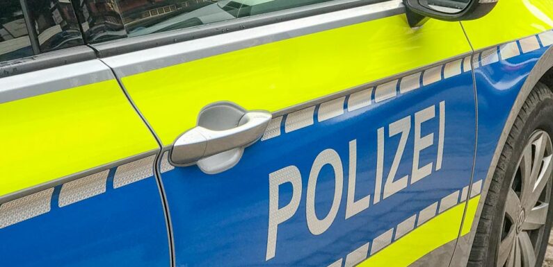 Geldbörse beim Einkaufen aus Rucksack gestohlen