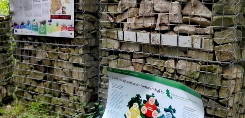 Nach Himmelfahrt am Bückeberg: Kreisforstamt stellt Schäden in Wäldern fest