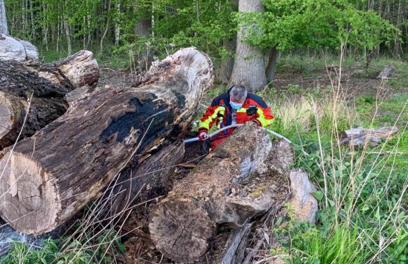 Feuerwehr löscht Brand im Schaumburger Wald