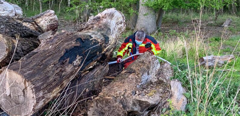 Feuerwehr löscht Brand im Schaumburger Wald