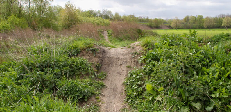 Dirtbike-Anlage in Bückeburg: 4.500 Euro für Planungen bereitgestellt
