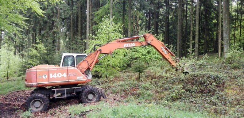 Auf Erkenntnissuche mit dem Bagger: Standortkartierung im Kreisforstamt Spießingshol wird fortgesetzt