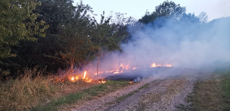 Kreisfeuerwehr warnt: Hohe Gefahr von Flächen- und Waldbränden in Schaumburg