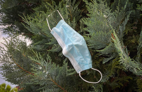 Gültig ab Samstag: Niedersachsen lockert Corona-Regelungen