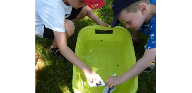 „Papier – das fetzt!“: Spannender Forschertag für angehende Schulkinder
