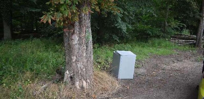 Gefrierschrank am Wald entsorgt