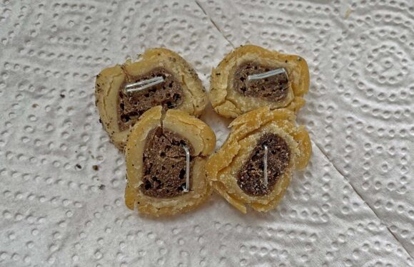 Pollhagen: Hundekekse mit Tackernadeln gespickt