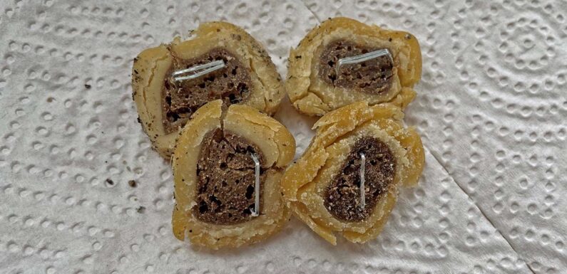 Pollhagen: Hundekekse mit Tackernadeln gespickt