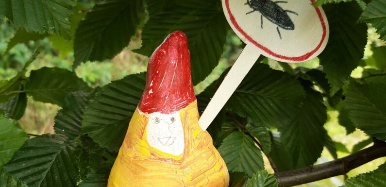 430 Grundschüler zu Besuch bei „Dr. Wald“