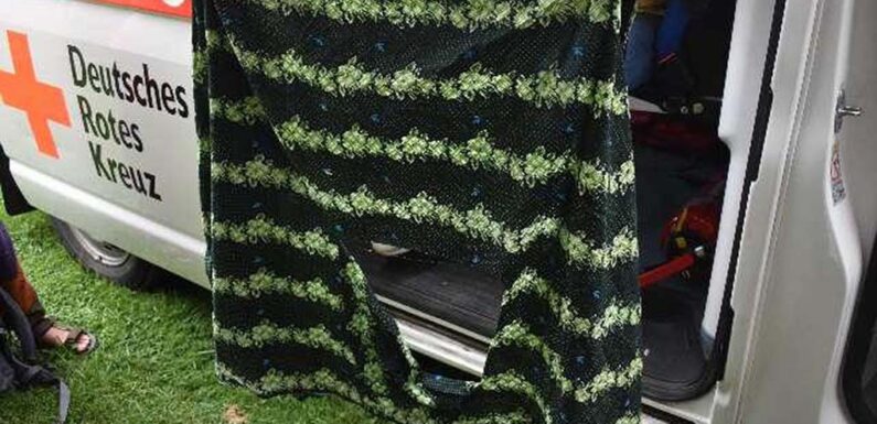 Hundebiss und zerstörter Rock