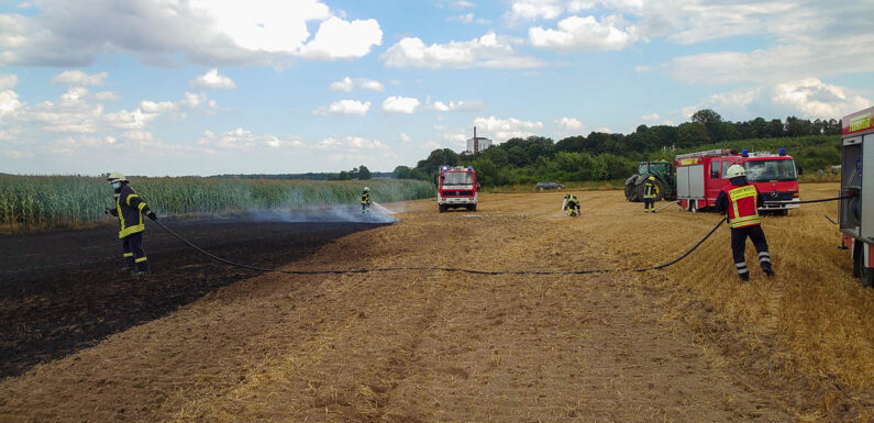 Brand auf Stoppelfeld in der Feldmark bei Altenhagen