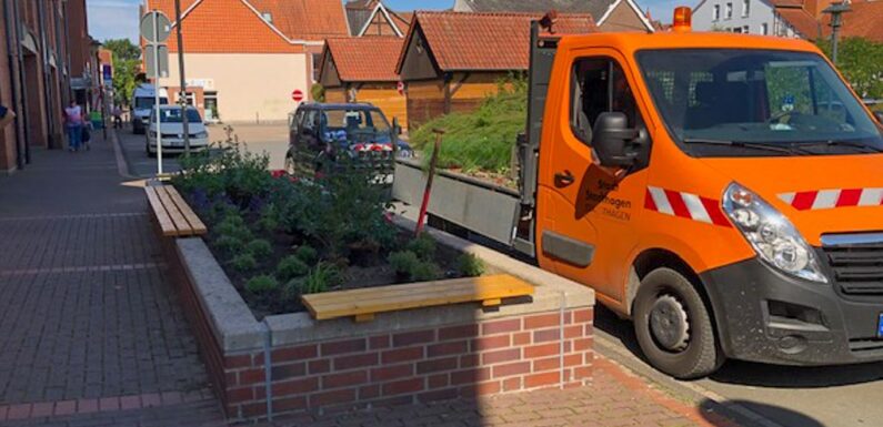 Stadthagen: Pflanzbeet am Hundemarkt umgestaltet