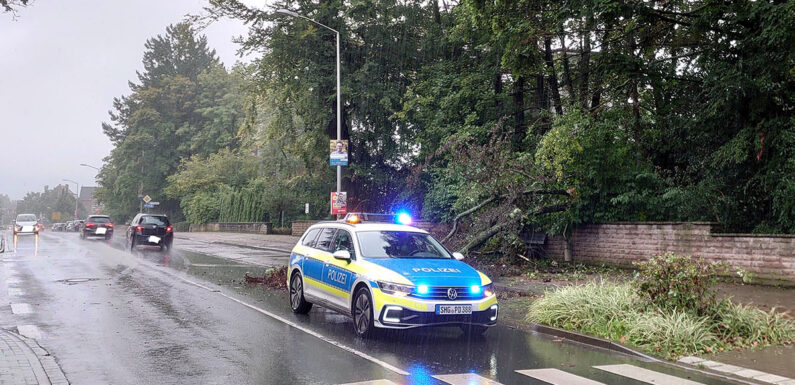Äste fallen auf Fahrbahn