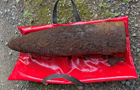 Stadthagen: Granaten beim Pilzsammeln im Wald gefunden
