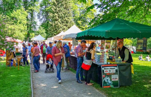 Bauernmarkt im Englischen Garten von Bad Eilsen