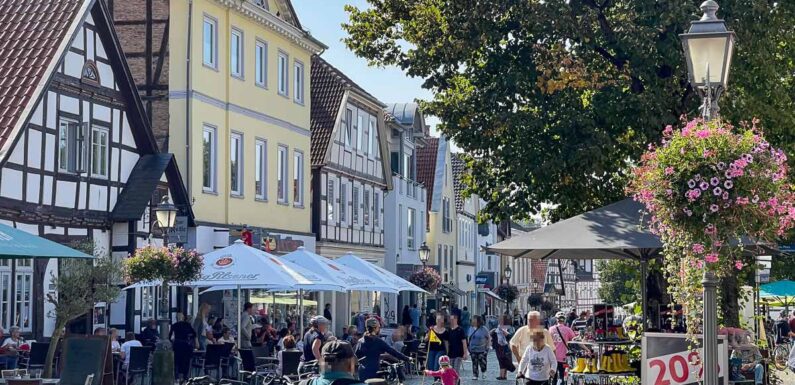 Bückeburg: Infotermine über Sanierung von Baumstandorten in der Langen Straße