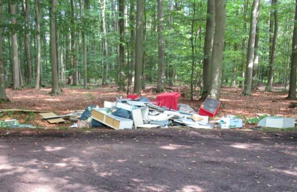 Hagenburg: Illegal Sperrmüll im Wald entsorgt