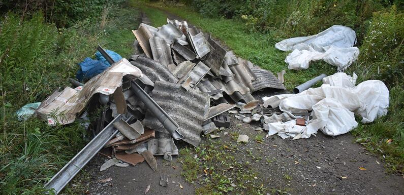 Umweltverschmutzung: Dachplatten und Baumaterial in Bückeburg illegal entsorgt
