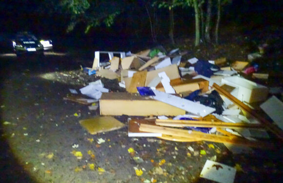 Müllentsorgung im Harrl: Sperrmüll in den Wald gekippt