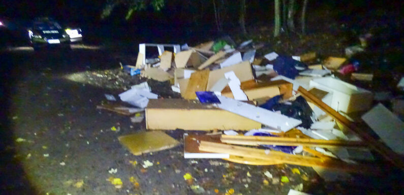 Müllentsorgung im Harrl: Sperrmüll in den Wald gekippt