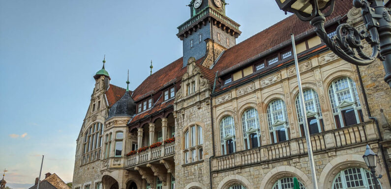 Cammer: Verendetes Reh wird auf Wolfsriss untersucht