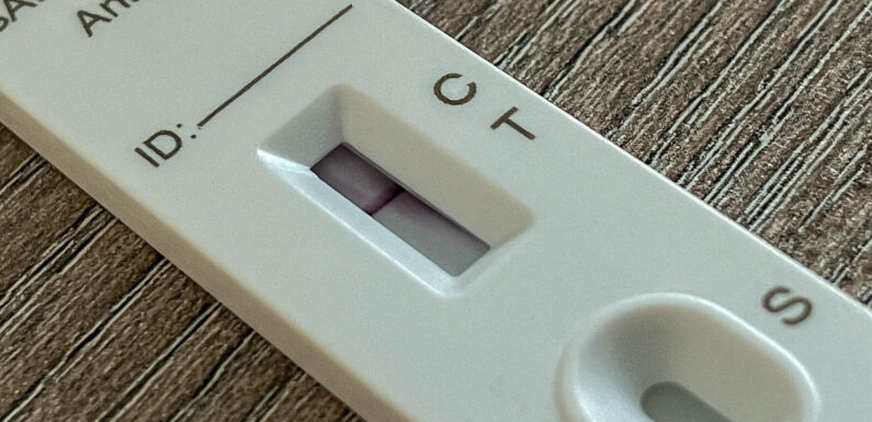 Niedersachsen verschärft Corona-Verordnung ab 24.11. erneut: Diese Regelungen gelten ab Mittwoch