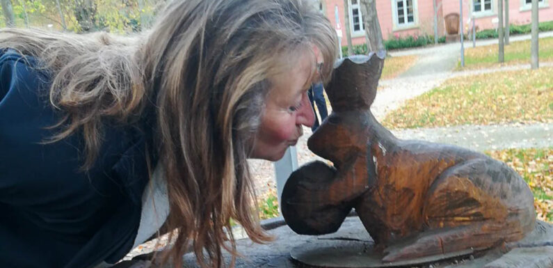 SMC-Challenge nähert sich dem Ende: Viele Orte im Umland luden zum Erkunden ein