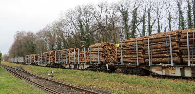 Eisenbahnstrecke Rinteln-Stadthagen: Forderung nach Reaktivierung durch Land Niedersachen