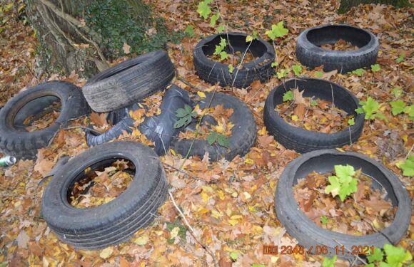 Autoreifen im Wald entsorgt