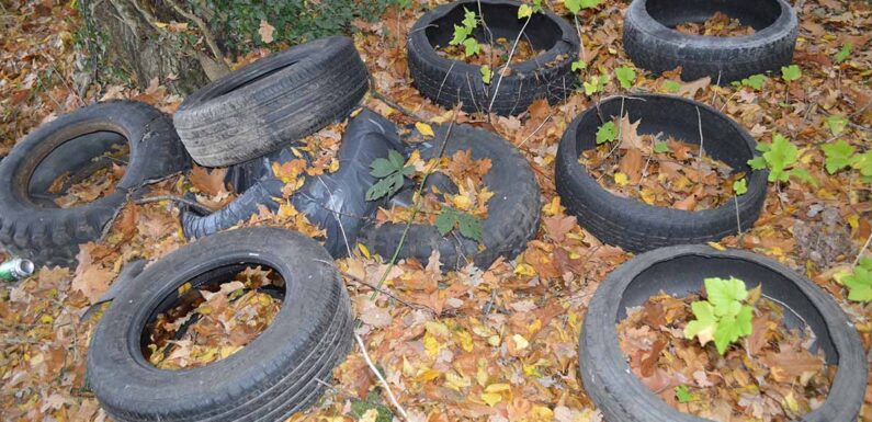 Autoreifen im Wald entsorgt