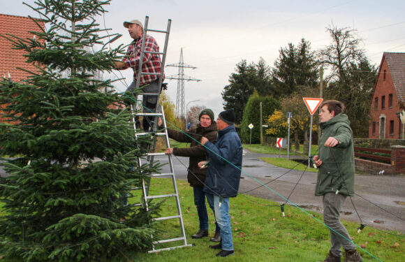 Alle packen mit an: Nordholzer Dorfgemeinschaft schmückt Weihnachtsbaum