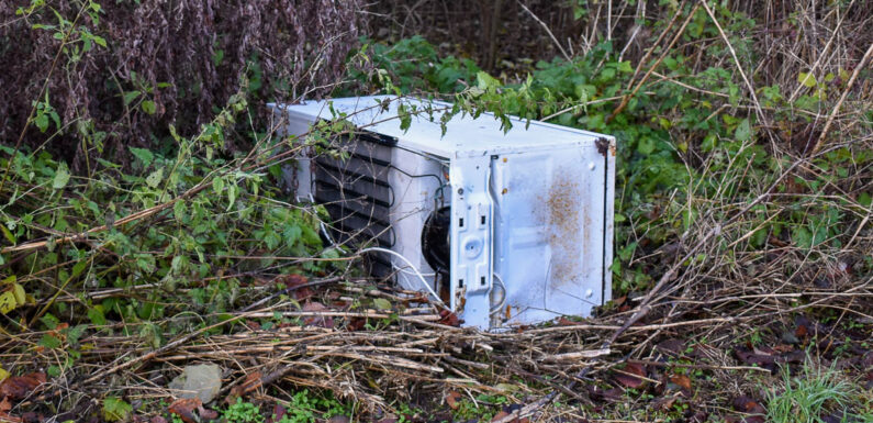 Kühlschrank in der Bückeburger Niederung entsorgt