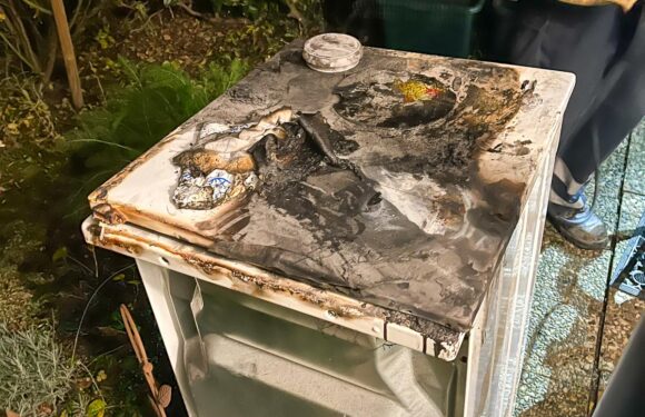 Erneuter Feuerwehreinsatz in Wendthagen