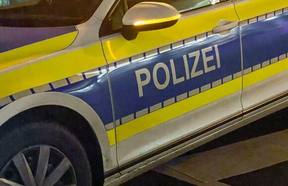 Zwei Polizisten bei Einsatz in Pollhagen verletzt: Mann droht mit Kampfhund