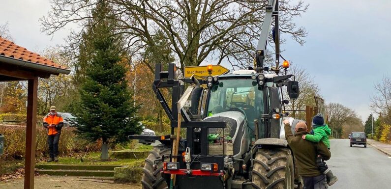 Wendthagen: Ein Weihnachtsbaum für den Dorfplatz